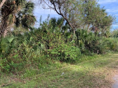 Port Charlotte Waterway Lakes Area Lot For Sale in Port Charlotte Florida