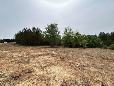 This is your chance to own a large piece of land in an - photo 1