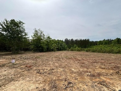 This is your chance to own a large piece of land in an - photo 2