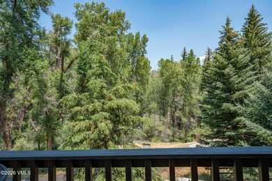 Wake up to the peaceful sights and sounds of the Eagle River - photo 22