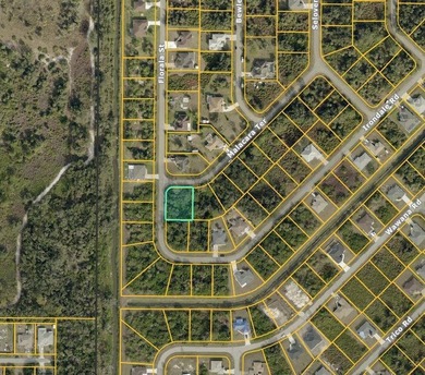 Build your dream home on this corner vacant lot located in the - photo 3