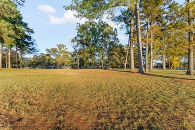 Experience refined lakefront living in this rare waterfront - photo 36