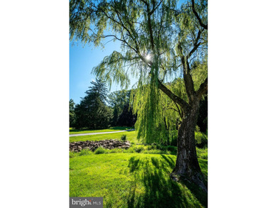 A truly rare offering in the heart of Birchrunville-this - photo 38