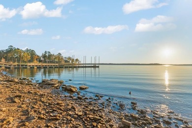 Experience refined lakefront living in this rare waterfront - photo 42