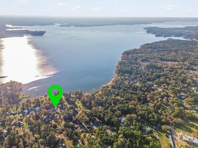 Experience refined lakefront living in this rare waterfront - photo 44