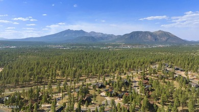 Turnkey Luxury Cabin in prestigious Pine Canyon. Everything is - photo 51