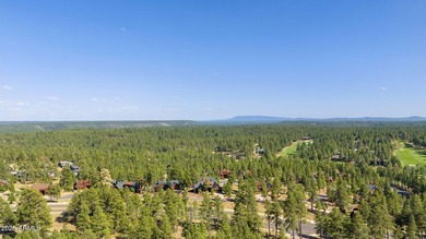 Turnkey Luxury Cabin in prestigious Pine Canyon. Everything is - photo 52