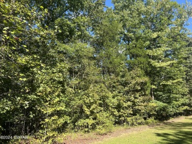 Lake Acreage For Sale in Cedar Grove, Tennessee