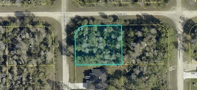 Lehigh Acres Area Lot For Sale in Lehigh Acres Florida