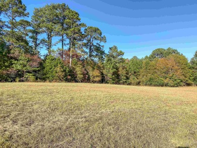 (private lake, pond, creek) Acreage For Sale in Royal Arkansas