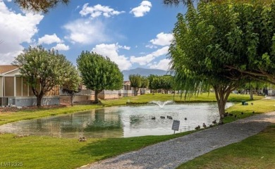 Welcome to your dream home in beautiful Pahrump, NV. This brand