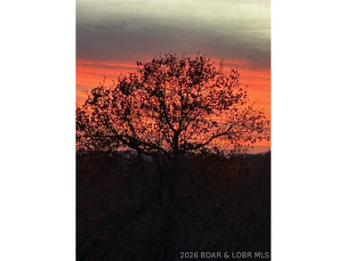 $20,000 Price Adjustment! 10.1 Acres close to town! Beautiful - photo 39
