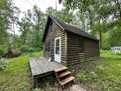 Lake Acreage For Sale in Bremen Twp, Minnesota