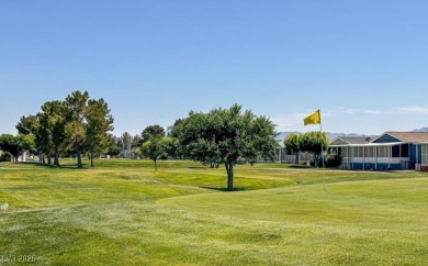 Welcome to your dream home in beautiful Pahrump, NV. This brand