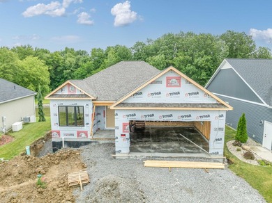 Choose your customizations! Gorgeous 4 bed, 3 bath home with a - photo 7