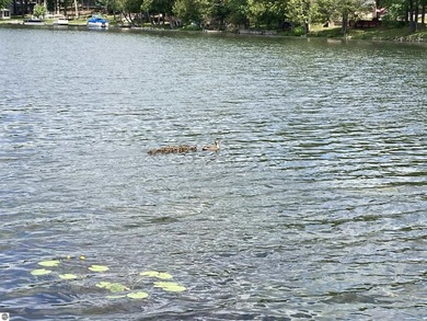ISLAND LAKE North of Rose City! Hidden in the rolling, glacial - photo 9