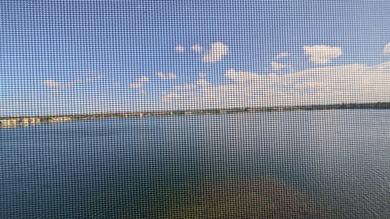 Enjoy beautiful lake views from this bright and inviting - photo 2