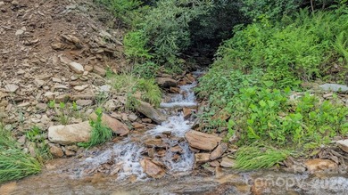 Creekside Mountain Retreat with Views, Dual Decks & Flexible - photo 21