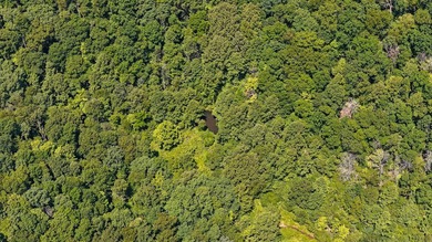 If you're looking for the perfect hunting property, this one - photo 4