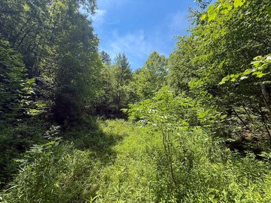 If you're looking for the perfect hunting property, this one - photo 5