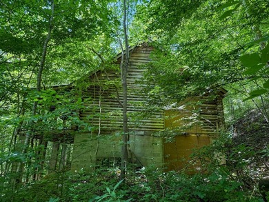 If you're looking for the perfect hunting property, this one - photo 6