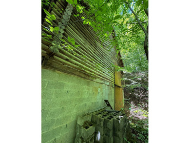 If you're looking for the perfect hunting property, this one - photo 9
