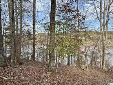 Lake Lot For Sale in Wedowee, Alabama