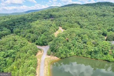 Lake Lot For Sale in Clarkesville, Georgia