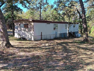 Lake Home For Sale in Harleton, Texas