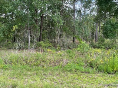 Lake Lot For Sale in Dunnellon, Florida