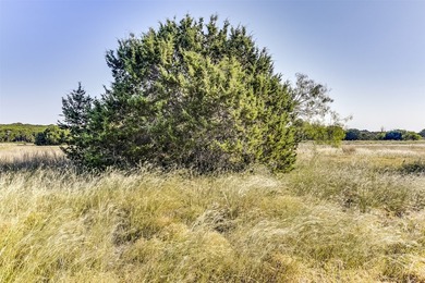 Nestled within the serene and exclusive White Bluff Resort, this - photo 14