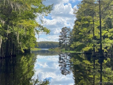 Lake Lot For Sale in Floral City, Florida