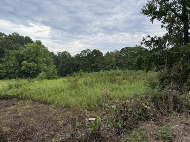 Strom Thurmond / Clarks Hill Lake Lot For Sale in Lincolnton Georgia
