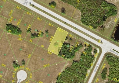 Investment Opportunity in Rotonda Lakes with RMF-15 Zoning. This - photo 1