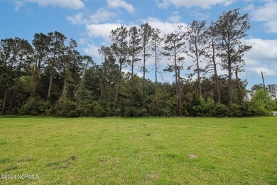RIVER VIEW! Second row, corner lot, has been cleared and is - photo 3