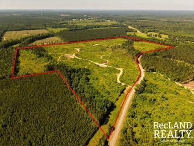 104 +/- acres Recreational, Hunting, & Potential Homesite Tract - photo 1