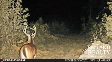104 +/- acres Recreational, Hunting, & Potential Homesite Tract - photo 2