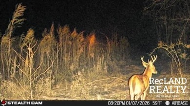 104 +/- acres Recreational, Hunting, & Potential Homesite Tract - photo 3