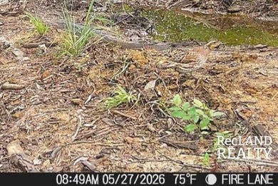104 +/- acres Recreational, Hunting, & Potential Homesite Tract - photo 7