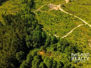 104 +/- acres Recreational, Hunting, & Potential Homesite Tract - photo 9
