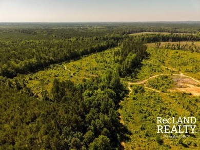 104 +/- acres Recreational, Hunting, & Potential Homesite Tract - photo 10