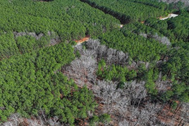 Great price for almost 2 acre lot in a great subdivision at the - photo 12