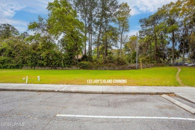 133 Lady's Island Commons is a fully pad-ready site located in - photo 20