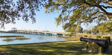 133 Lady's Island Commons is a fully pad-ready site located in - photo 22