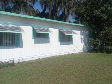 Lake Home For Sale in Lake Panasoffkee, Florida