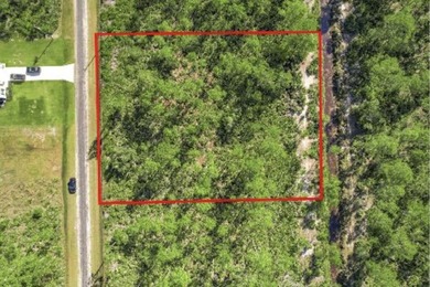 Lake Weohyakapka Lot For Sale in Indian Lake Estates Florida
