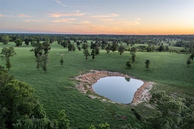 Lake Acreage For Sale in Gladewater, Texas
