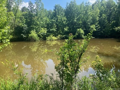 Approximately 64 wooded acres with county road frontage - photo 11