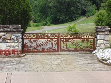 Lake Lot For Sale in Franklin, North Carolina