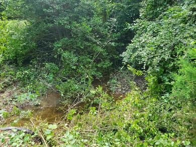 Approximately 64 wooded acres with county road frontage - photo 13